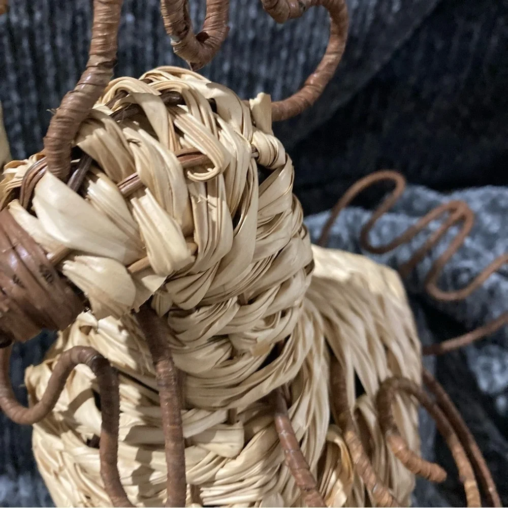 Chicken/Rooster Wire Raffia Set Decor Kitchen Farmhouse